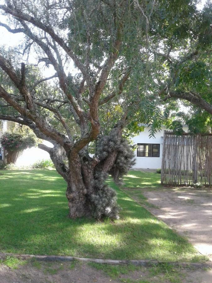 Guinea Fowl Vila Plettenberg Bay Exterior foto